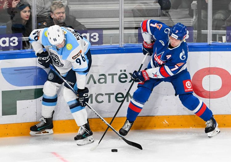 ska_sibir_FSD_3659.jpg