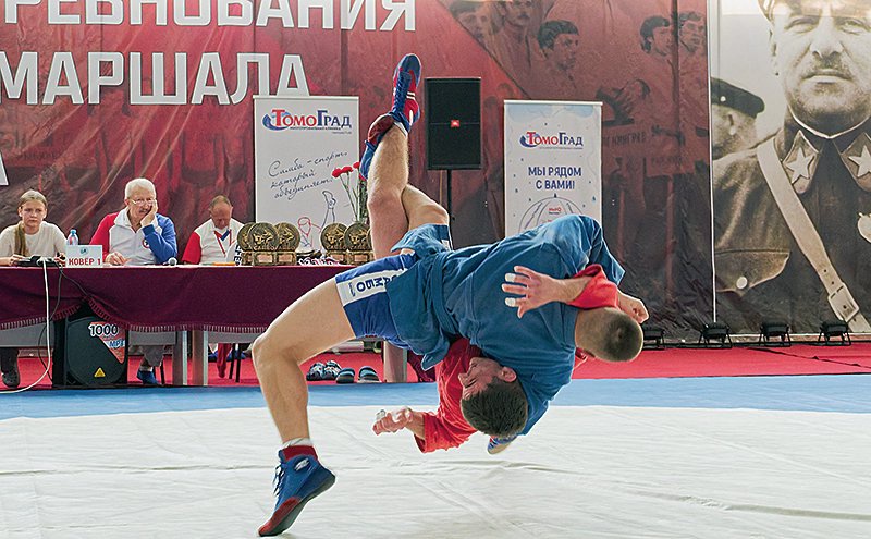 самбо блюхера