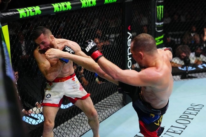 Источник: UFC